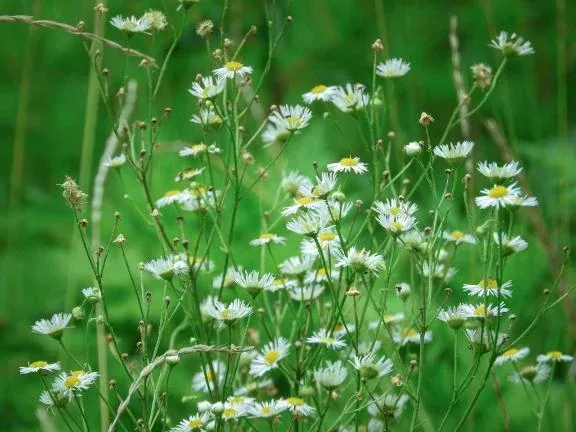 写メ日記 じゅんな 4/22(水) 13:33