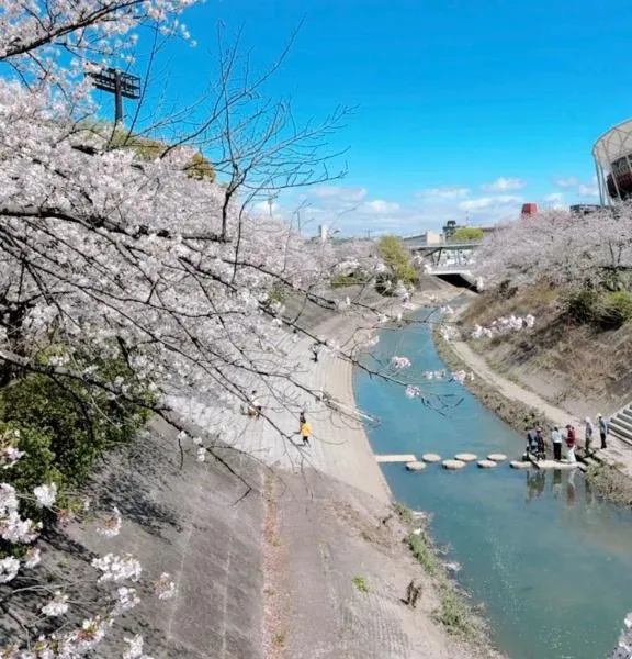 写メ日記 あゆみ 4/7(火) 17:01