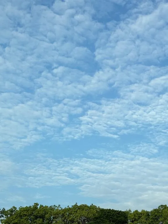 写メ日記 あかり 9/18(金) 06:44