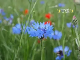 写メ日記 小山真帆 3/6(金) 08:04