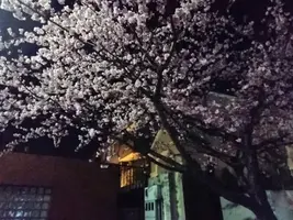 写メ日記 RISA講師 3/8(日) 18:32