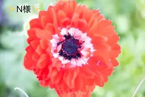 写メ日記 小山真帆 3/10(火) 23:42