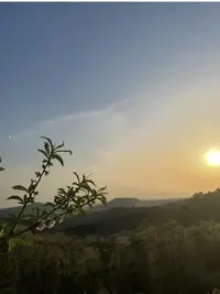 写メ日記 アーシャ 3/12(木) 05:48