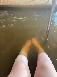 写メ日記 なほ 3/14(土) 10:08