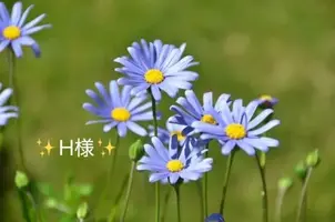 写メ日記 小山真帆 3/15(日) 08:12