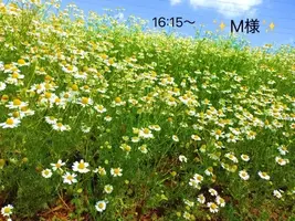 写メ日記 小山真帆 3/15(日) 14:40