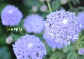 写メ日記 小山真帆 3/17(火) 19:12