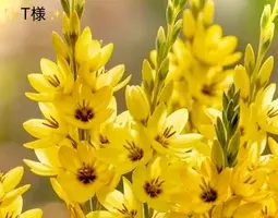 写メ日記 小山真帆 3/17(火) 20:40