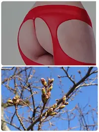 写メ日記 いちか 3/20(金) 09:09