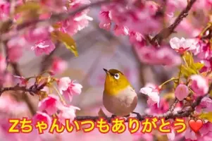 写メ日記 秋守まほ 3/21(土) 12:22