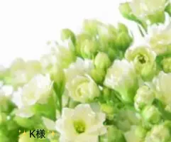 写メ日記 小山真帆 3/22(日) 14:00