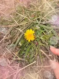 写メ日記 川嶋れい 3/22(日) 22:28