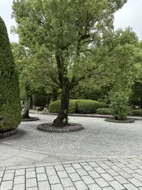 写メ日記 みき 3/23(月) 06:28