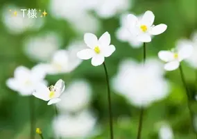 写メ日記 小山真帆 3/26(木) 00:26