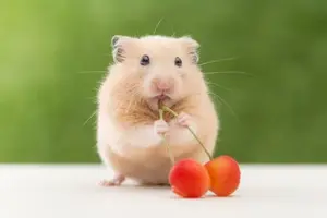 写メ日記 ひなの 3/26(木) 12:52