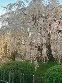 写メ日記 和香 3/27(金) 23:33