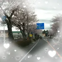 写メ日記 倉本 あゆ 3/28(土) 07:28