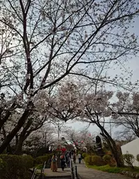 写メ日記 いちか 3/30(月) 14:54