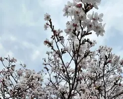 写メ日記 きみか 3/30(月) 15:28