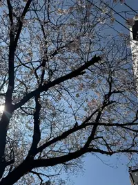 写メ日記 りんね 4/3(金) 13:02