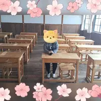 写メ日記 まつり 4/4(土) 17:33