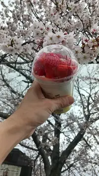 写メ日記 しずく 4/4(土) 23:05