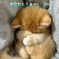 写メ日記 すみ 4/5(日) 12:54