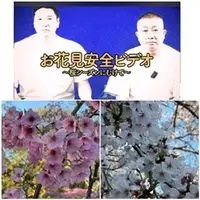 写メ日記 ありす 4/6(月) 08:57