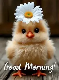 写メ日記 ともこ 4/7(火) 10:07