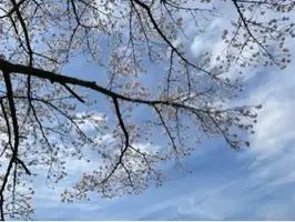 写メ日記 あみ 4/10(金) 21:26