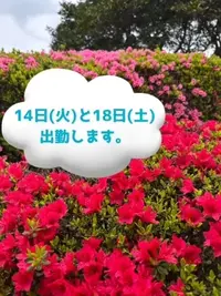 写メ日記 雨宮優子 4/11(土) 01:28