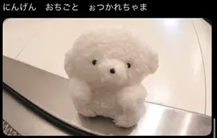 写メ日記 まい 4/11(土) 16:21