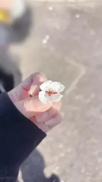 写メ日記 彩星(あやせ) 4/11(土) 19:15