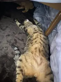 写メ日記 くいん 4/14(火) 04:41