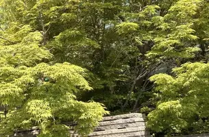 写メ日記 みだら 4/14(火) 11:13