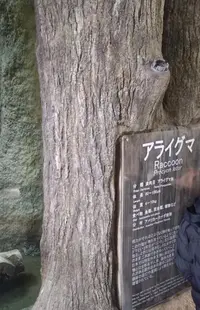 写メ日記 ゆうな 4/16(木) 15:47