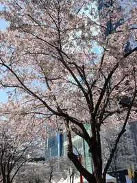 写メ日記 らら 4/16(木) 16:02