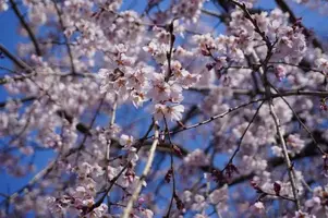 写メ日記 ひなの 4/17(金) 14:31