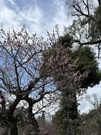 写メ日記 みき 4/18(土) 21:44