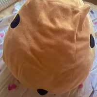 写メ日記 真綾 4/19(日) 08:03