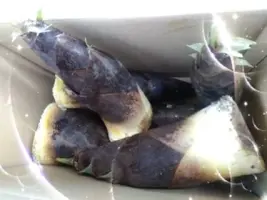 写メ日記 木佐貫あかね 4/19(日) 09:30