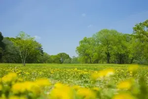 写メ日記 はるひ 4/20(月) 08:01