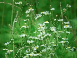 写メ日記 じゅんな 4/20(月) 08:03