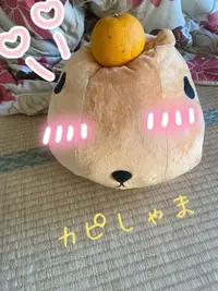 写メ日記 真綾 4/20(月) 22:03