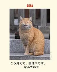 写メ日記 りな 4/22(水) 13:34