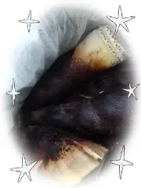 写メ日記 木佐貫あかね 4/23(木) 12:40