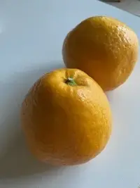 写メ日記 加納 しほ 5/30(土) 16:04