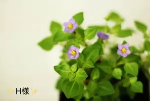 写メ日記 小山真帆 5/30(土) 23:18