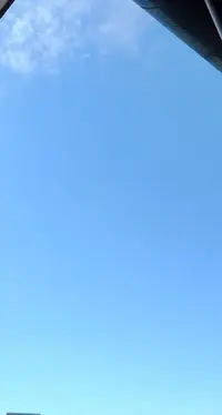 写メ日記 さくら 6/3(水) 16:31