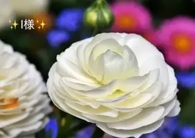 写メ日記 小山真帆 6/10(水) 21:48